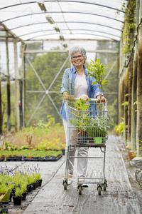 女人买温室里的植物