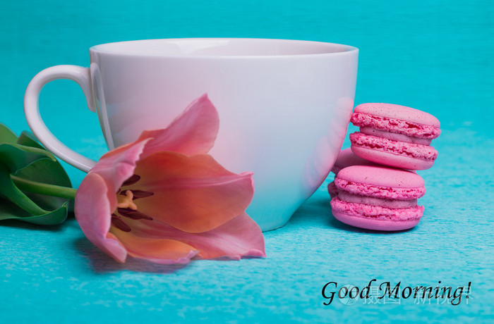 跟粉色郁金香,一杯咖啡早上好