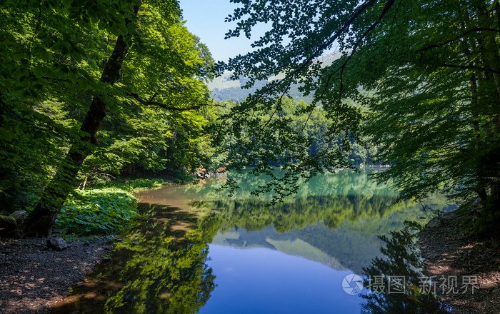 Biogradska 山地森林湖蓝色的水