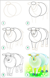 页显示如何一步一步一步学会画一只羊