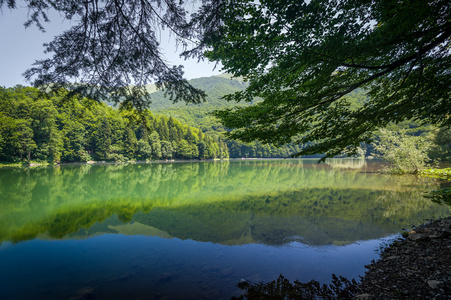 山湖景观生物格拉德斯科 jezero