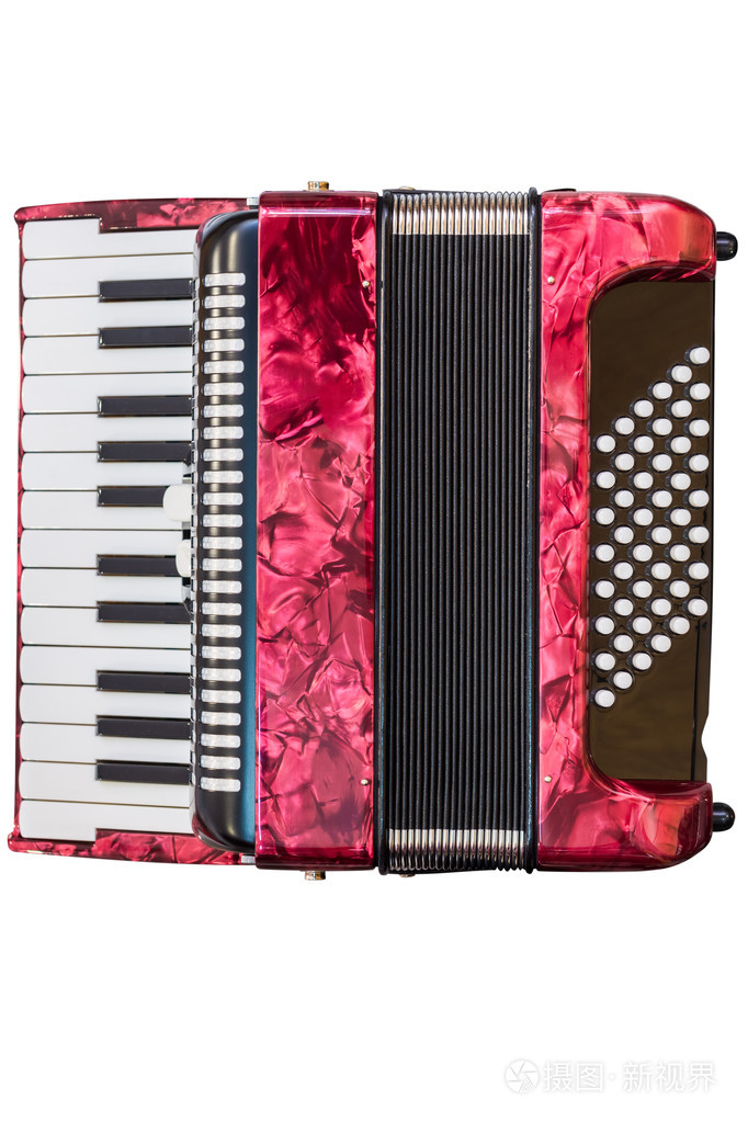 白色背景上孤立的手风琴