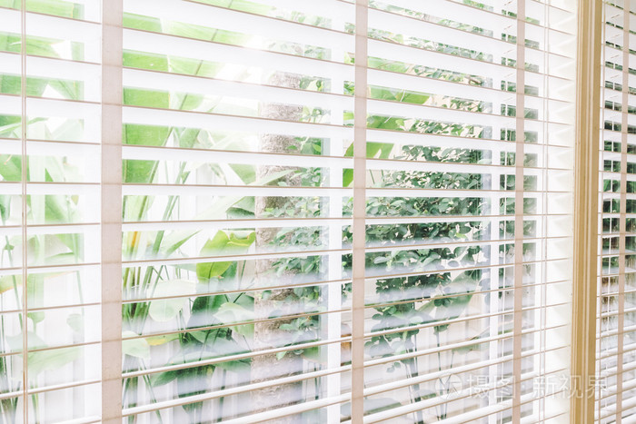 在客厅里的百叶窗窗口装饰