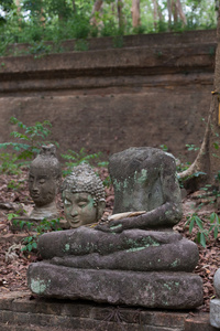 在梧 清迈 旅游泰国寺佛像