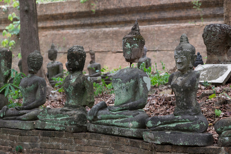 在梧 清迈 旅游泰国寺佛像