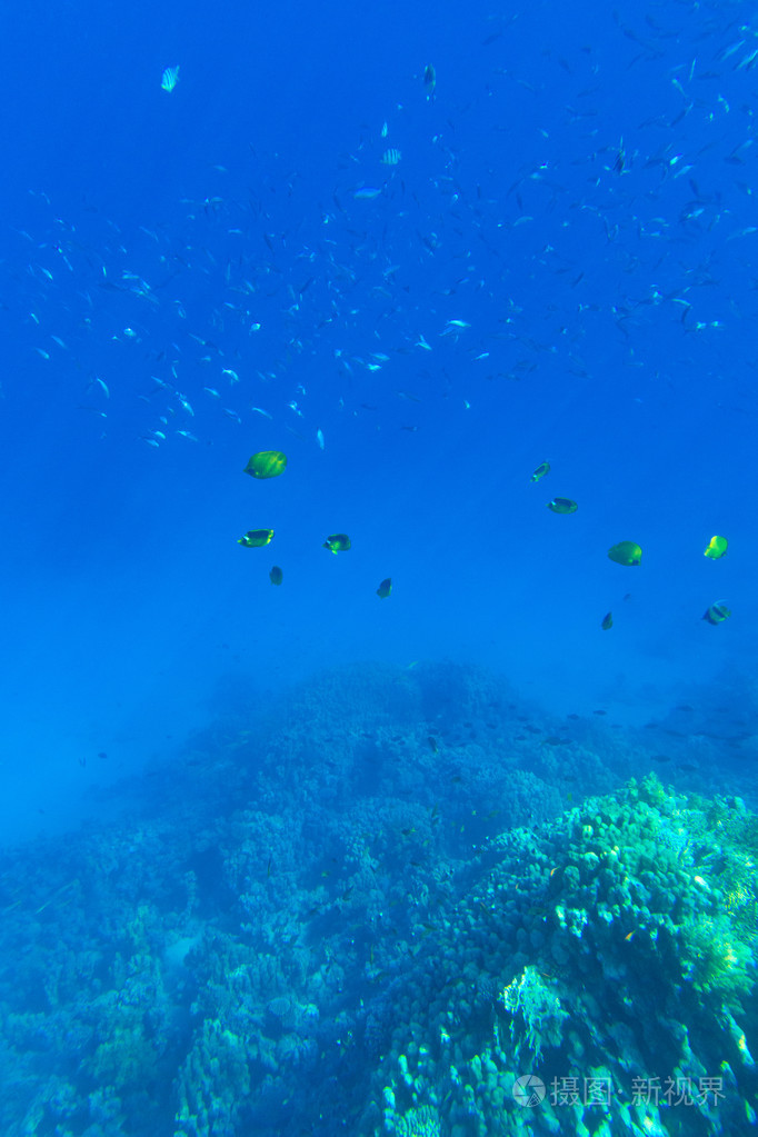 宁静的水下场景