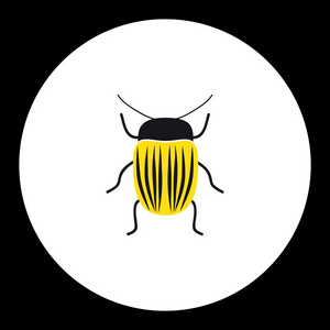 简单的黄色小科罗拉多甲虫黑色图标 eps10