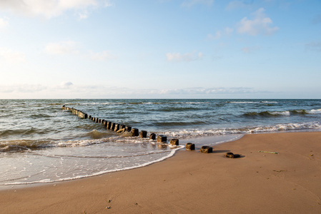 贝壳底纹一行的木棍在海岸 breakwater照片