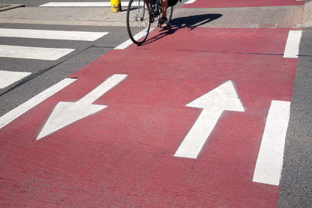 骑单车的自行车专用车道上