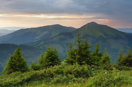 在山的夏天风景