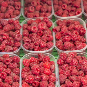 红树莓在框中在当地农产品市场