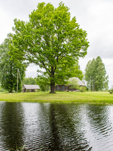 乡间别墅和池塘池塘和橡木树