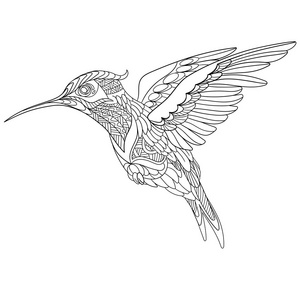 zentangle 程式化蜂鸟照片