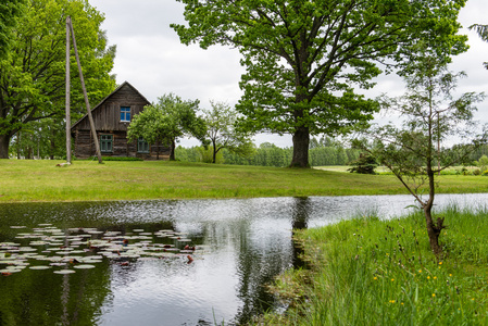 乡间别墅和池塘池塘和橡木树