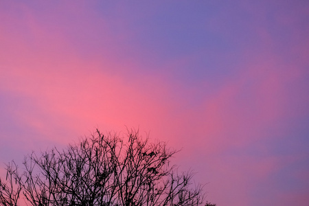 紫色色调天空在早上初升的太阳图片