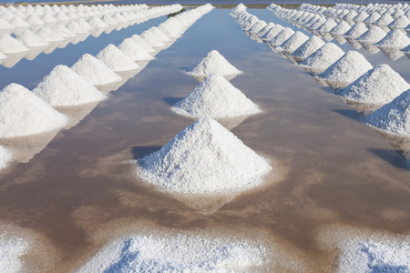 盐在海盐农场收获，泰国准备