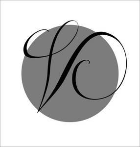书法标志 logo v
