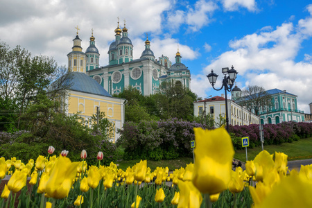 其中一个最古老的俄罗斯城市斯摩棱斯克的意见。春天到 2015年。俄罗斯斯摩棱斯克