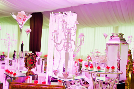 令人敬畏的婚礼招待会的食物和饮料和各种粉红色李
