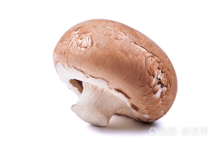 白色衬底上分离出的单个棕色蘑菇