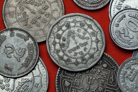 尼泊尔卢比硬币的硬币
