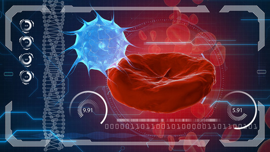 红细胞 血红细胞 病毒 细菌。解剖医学概念