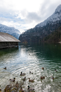 Konigsee 湖，贝德国