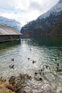 Konigsee 湖，贝德国