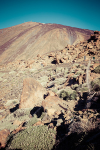 el teide 国家公园 特内里费岛，西班牙加那利群岛