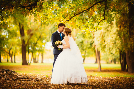 年轻的新娘和新郎的秋天风景背景