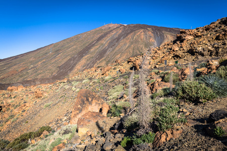 el teide 国家公园 特内里费岛，西班牙加那利群岛