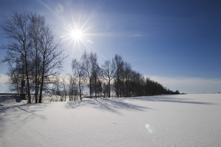 一个阳光明媚的冬景图片
