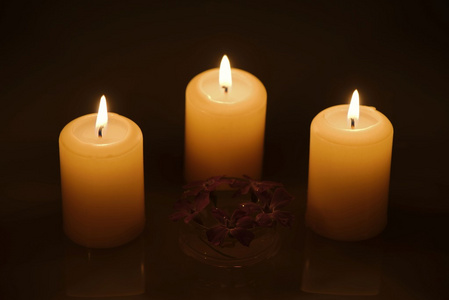 燃烧的蜡烛与反射和紫色的花朵