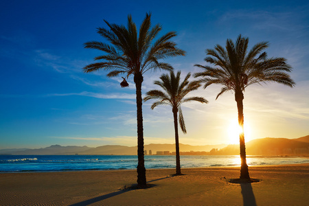 库列拉海滩洛杉矶欧海滩日落在 Valencia