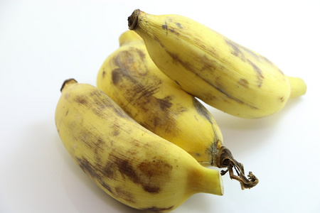 甜栽培香蕉