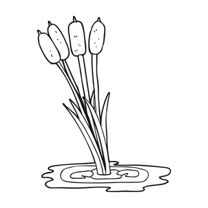 卡通芦苇图片-卡通芦苇素材-卡通芦苇插画-摄图新视界