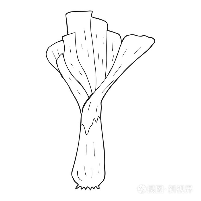 黑色和白色卡通韭菜