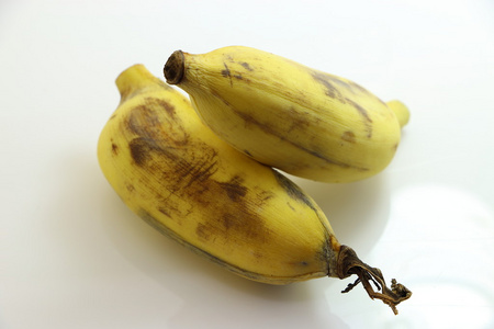 甜栽培香蕉