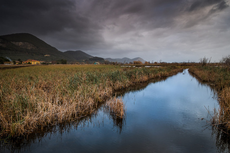 意大利，托斯卡纳，卢卡，Massaciuccoli 湖