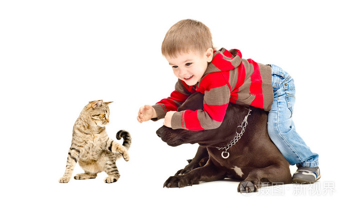 孩子，高高兴兴地在一起玩耍的猫和狗