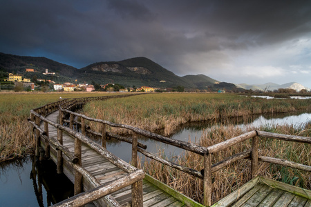 意大利，托斯卡纳，卢卡，Massaciuccoli 湖