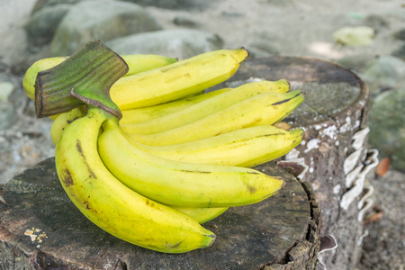 新鲜的香蕉木制背景上