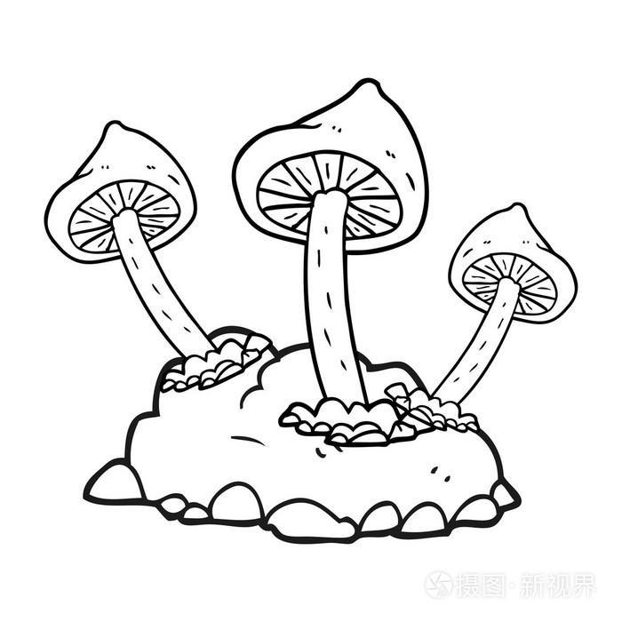 蘑菇生长图画图片