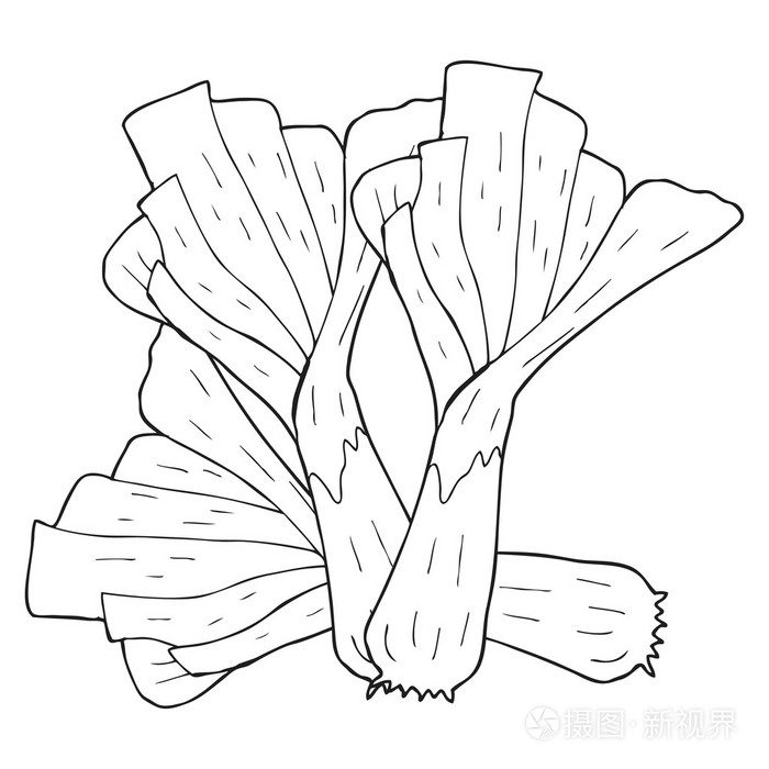 黑色和白色卡通韭菜