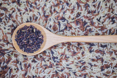 水稻浆果种子图片