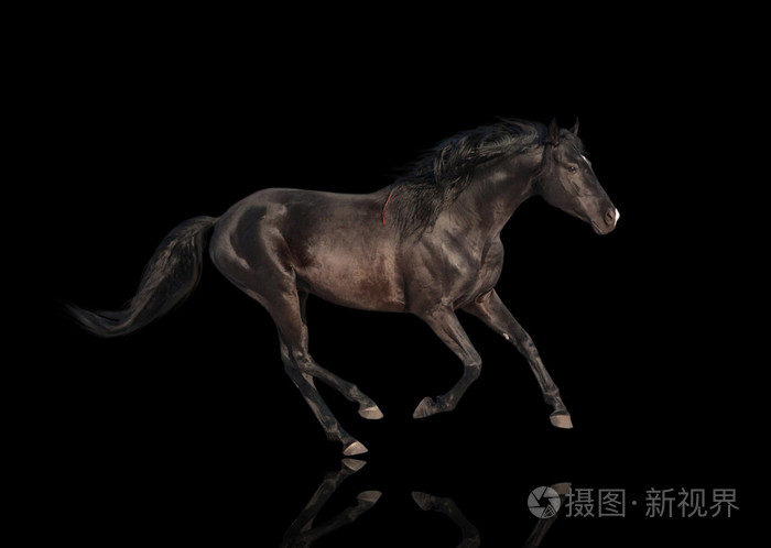 隔离的那匹黑马