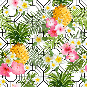 菠萝和热带花卉几何背景老式无缝模式
