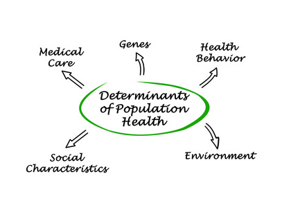 人口健康决定因素