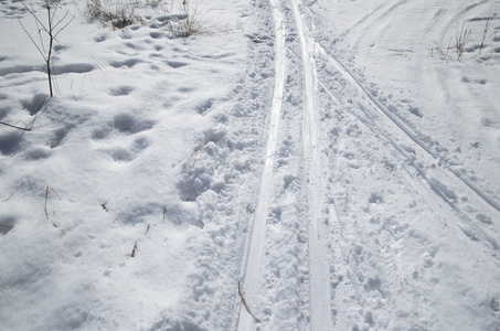 在绒毛白雪中滑雪