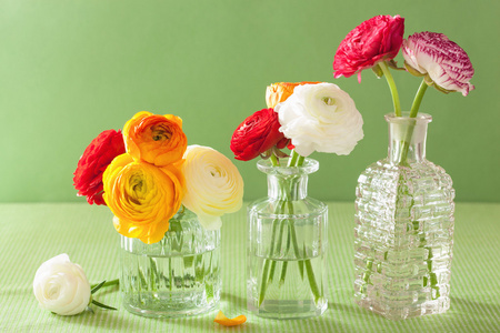 七彩花毛茛花在花瓶在绿色的背景